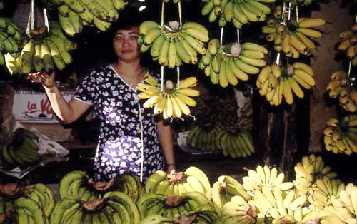 Hanoi, Vietnam, banana seller